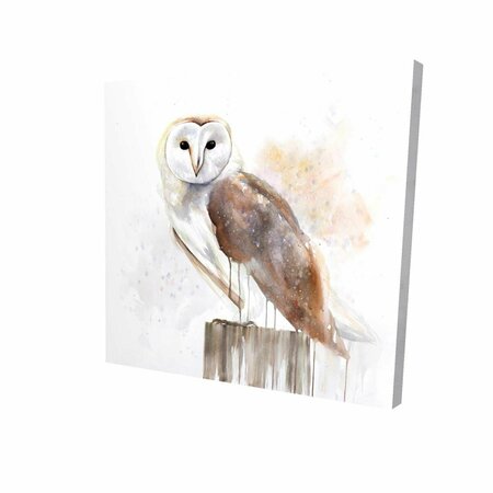 FONDO 16 x 16 in. Barn Owl-Print on Canvas FO2789350